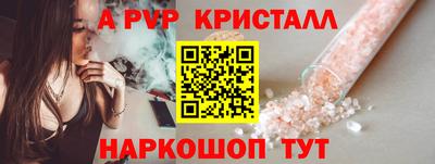 СК Тула