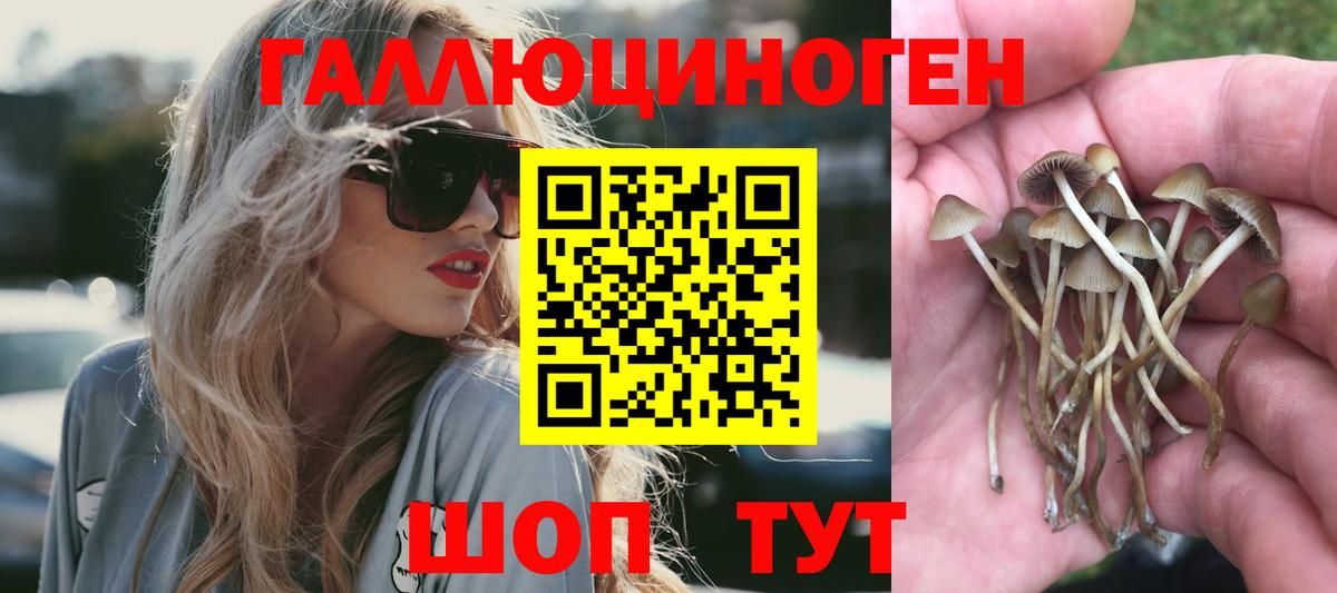 Александров  Галлюциногенные грибы мухоморы  Вход с VPN 